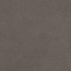 Darcy Sofa - Furniture Home (Kansas City, MO)