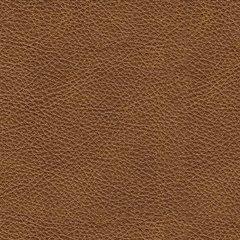 Carianna Sofa - Furniture Home (Kansas City, MO)